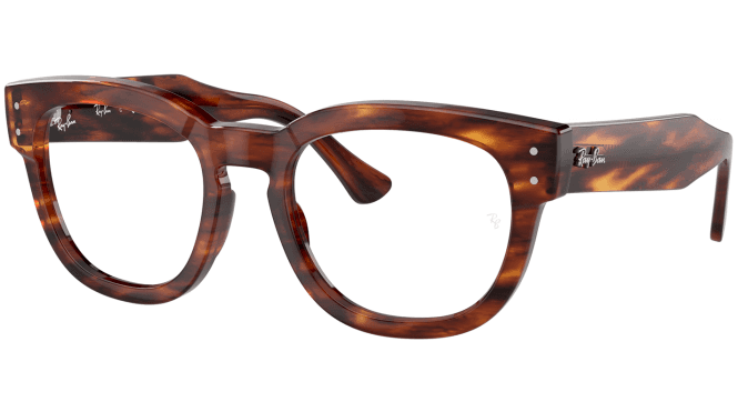 Ray-Ban RX0298V Mega Hawkeye