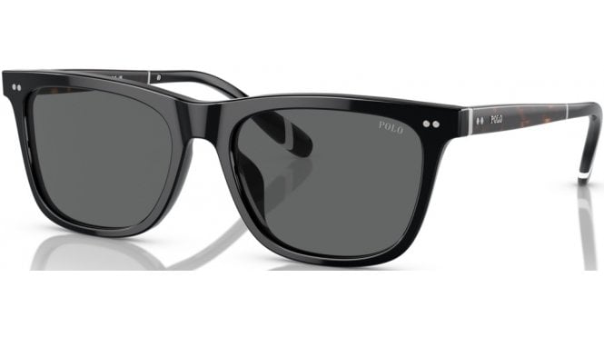 Polo Ralph Lauren PH4205U Sunglasses
