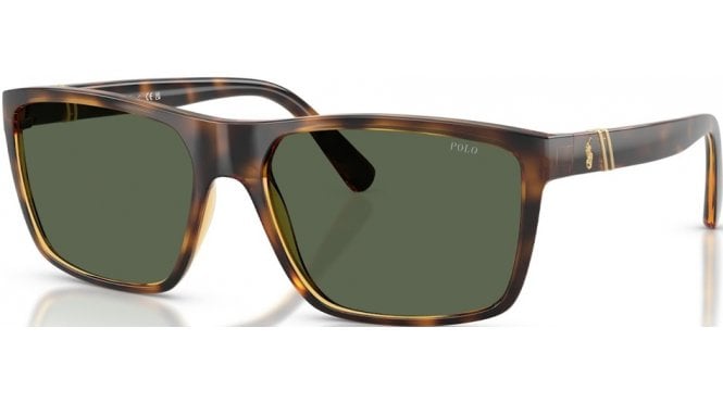 Polo Ralph Lauren PH4133 Sunglasses