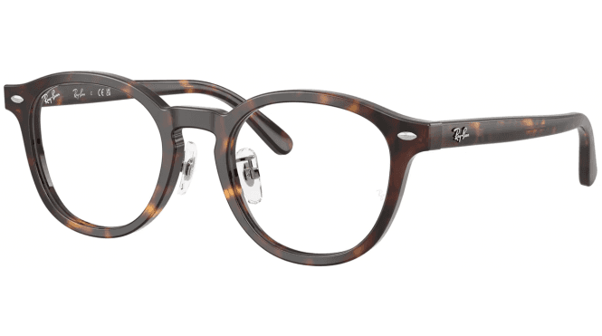 Ray-Ban RX5443D