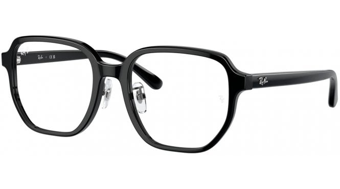 Ray-Ban RX5424D
