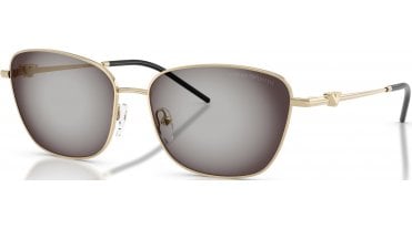 Emporio Armani EA2170 Sunglasses